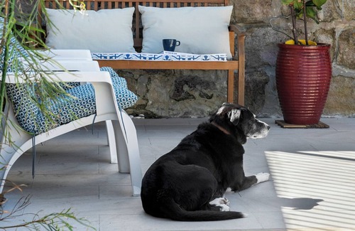 Manly Appartement | Cottage-style Unit on Manly Beach