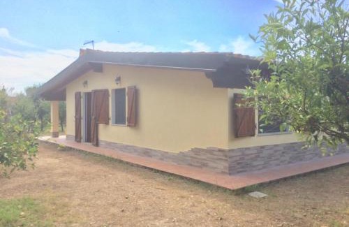 Iglesias Maison | COTTAGE SU MERTI country