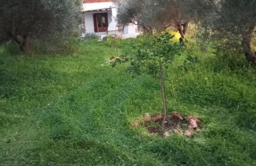 Sissi Maison | Cottage1Το μικρό σπίτι στο λιβαδι