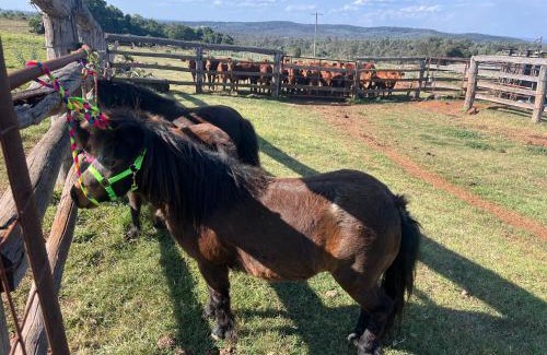Coolabunia Maison | Country charm on acreage