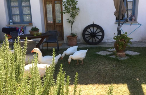 Loiri Porto San Paolo Cottage | Country Cottage Sùara