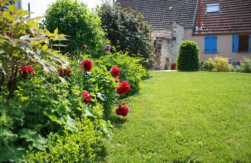 Trelou Sur Marne Cottage | Un séjour au coeur du vignoble champenois