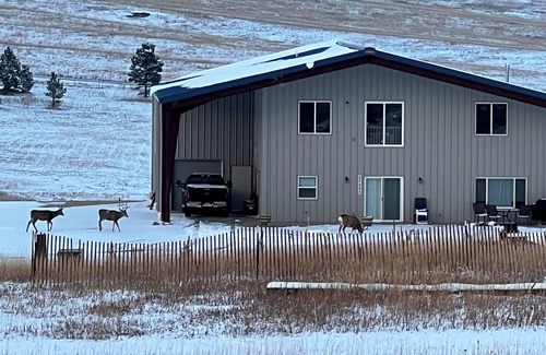 Larkspur Maison | Country home on scenic, quiet acreage near Monument. Convenient to interstate.