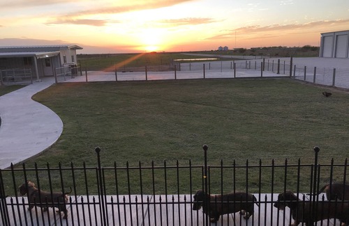 Robstown Lit Et Petit-Déjeuner | Country Home - with 10 Acres - Private Pond - RV - Event Venue - Horses Welcome