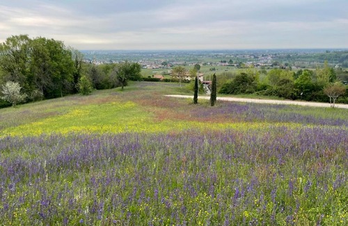 Susegana Cabine | Country House Accommodation on Dreamway Path - Colfosco di Susegana TV, Veneto, Italy