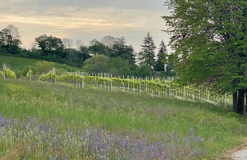 Susegana Cabine | Country House Accommodation on Dreamway Path - Colfosco di Susegana TV, Veneto, Italy