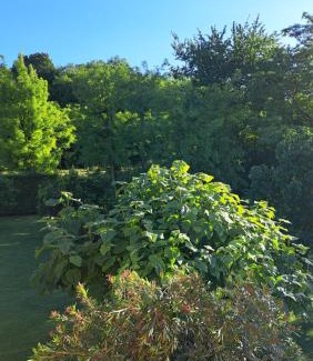 Rovolon Maison | Country House Bucaneve