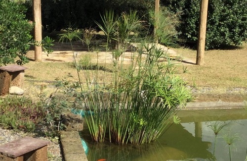 Gonnesa Cottage | Maison de campagne à Gonnesa à 2 km de Plagemesu