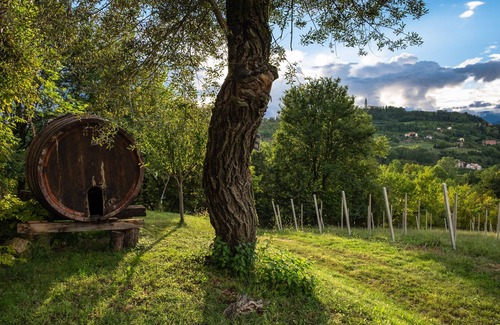 Conegliano Appartement | Collines du Prosecco, patrimoine de l'Unesco, 4 appartements, 18 invités