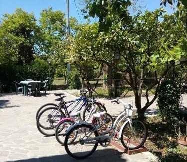 Altavilla Silentina Maison | Country House L'Ippocastano
