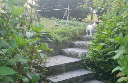 Hijas Cottage | COUNTRY HOUSE LAS ROZAS