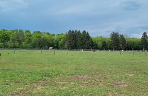 Barza Appartement | COUNTRY HOUSE LA MIA TERRA
