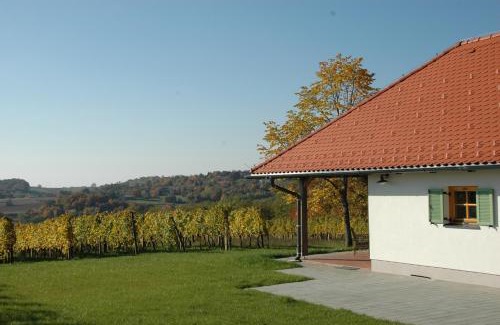 Moravske Toplice Maison | Country house Martinova Klet