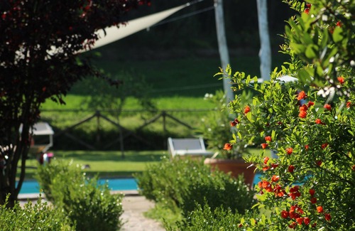Montone Appartement | Maison de campagne avec grande piscine et restaurant privé dans le cœur vert de l'Italie