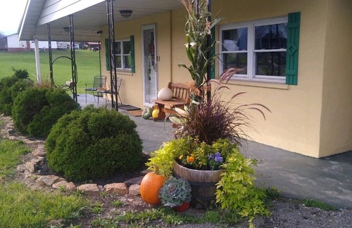 Brandonville Cottage | Country Roads Cottage w/ fenced in yard close to state forests and WVU!