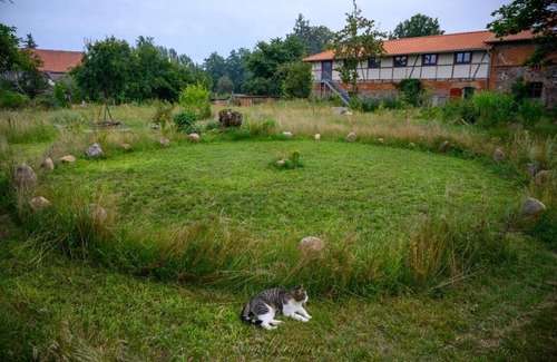 Steinreich Appartement | Country vacation - Sauna - Wellness - Holiday apartment Frida von D.