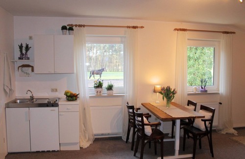 Kirchdorf Appartement | Appartement moderne à Kirchdorf avec piscine