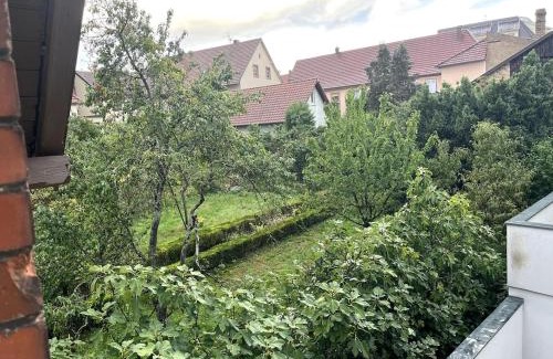 Haguenau Maison | Coup de coeur en Alsace