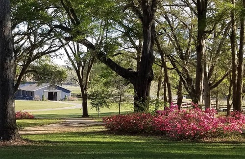 Citra Maison | "COWBOY COTTAGE" Maison de 4 chambres à coucher dans une ferme à cheval fermée
