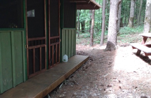Dryden Cabine | Chalet rustique dans un magnifique terrain de camping naturel adjacent aux sentiers de la forêt domaniale