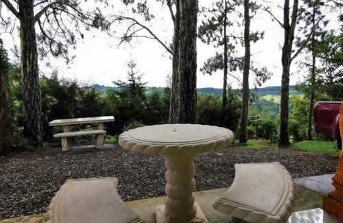 Quebrada La Gamba Maison | Cozi cabin in the mountains surrounded by pine trees