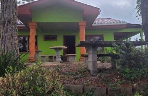 Quebrada La Gamba Maison | Cozi cabin in the mountains surrounded by pine trees