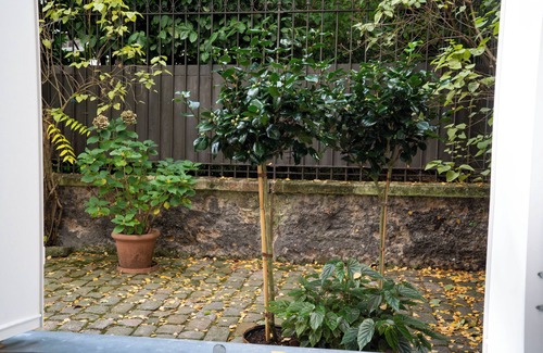 Montparnasse Appartement | Cozy 1-bedroom apartment in enchanting Paris with WiFi