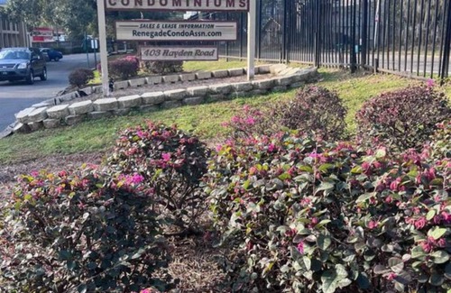Tallahassee Copropriété | Cozy 1-bedroom condo across the street from FSU and Doak Campbell Stadium