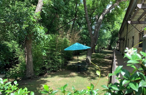 Hyde Park Copropriété | Cozy 1-bedroom condo in central Austin with WiFi