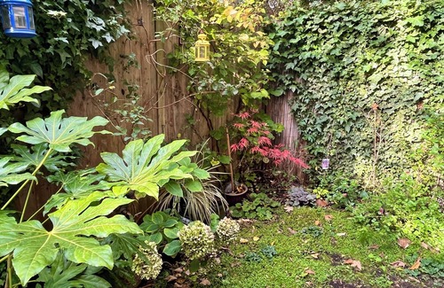 Bethnal Green Copropriété | Cozy 1-BR Garden Flat For Up to 4 in East London