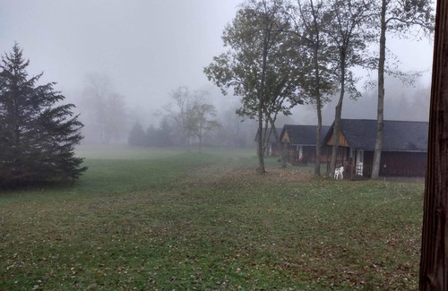 Blodgett Mills Cabine | Cozy 1 Room Log Cabin with Bathroom near Ski Resort in Upstate New York