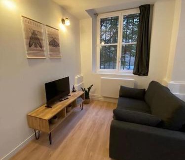 Griffon - Royale Appartement | Cozy 1BR in Lyon Center