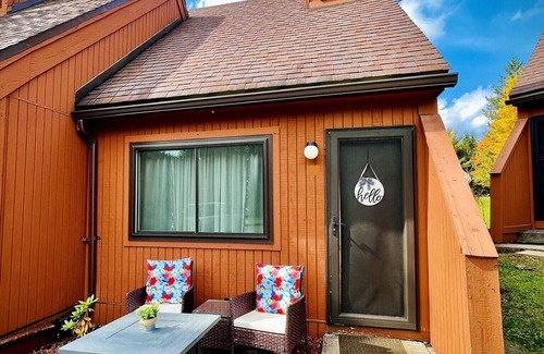 Canaan Valley Cabine | Cozy 2 bed Cabin - The Best location for Davis, Thomas, and Canaan! Ski here!