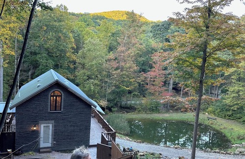 Gans Cabine | Cozy 2-bedroom cabin on 3 acres of mountaintop property