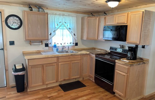 Benton Cabine | Cozy 2-bedroom Elk Grove cabin next to Ricketts Glen State Park