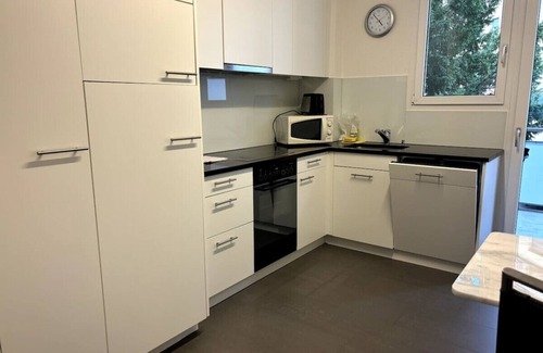 Enge Appartement | Cozy 2BR near lake and train station (Wille 8)