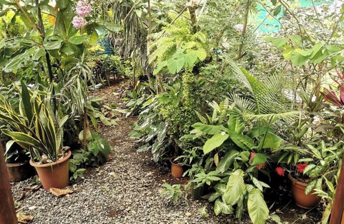 Manuel Antonio Appartement | Cozy "ALMENDRO" Apartment at MANUEL ANTONIO/4 People