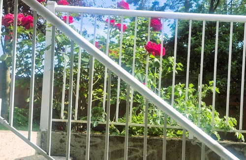 Guildford Maison | Cozy and Homey 2 BR Suite, 5 minutes to Highway 1 entrance.