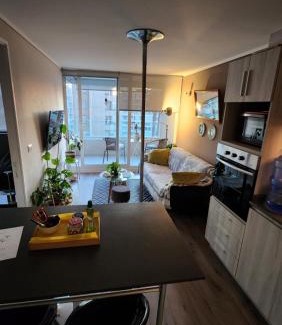 Vina del Mar Appartement | Cozy and nice apartment