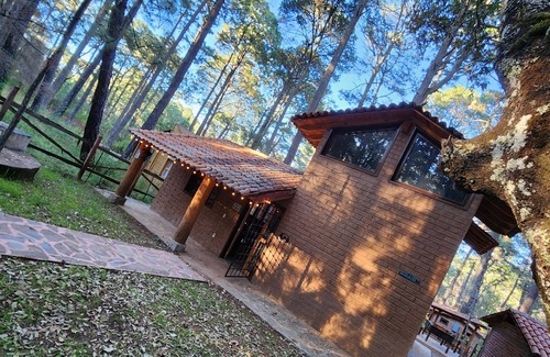 Bouvet Island Cabine | Cozy and quiet place to spend your vacations and holidays, in the forest. Magico