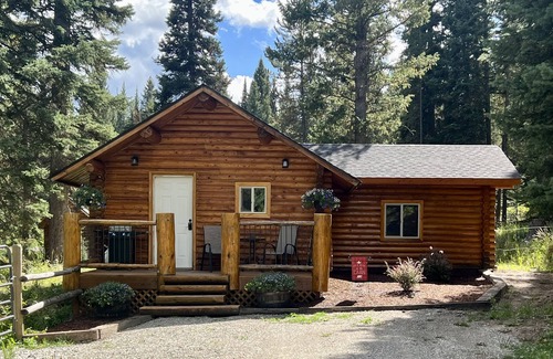 Lazy Acres Cabine | Cozy and Rustic "Bear Themed" Cabin~private pond and 7 miles to YNP entrance!