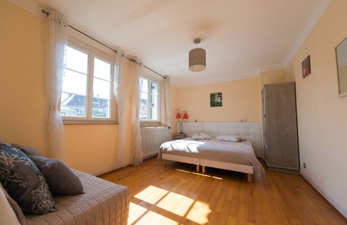 Gries Maison | Appartement cosy - Aux Deux Cigognes - Mas Alsacien