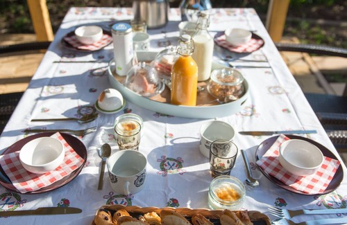 Gries Maison | Appartement cosy - Aux Deux Cigognes - Mas Alsacien
