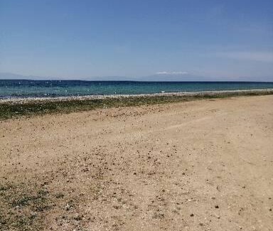 Paralia Dionysiou Appartement | Cozy apartment by the sea