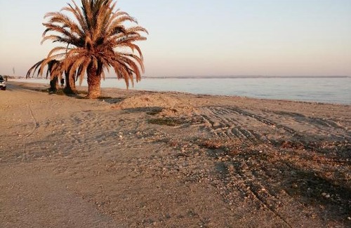 Paralia Dionysiou Appartement | Cozy apartment by the sea