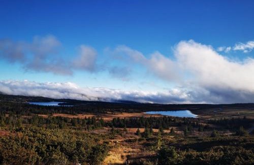 Gausdal Appartement | Cozy apartment close to many experiences