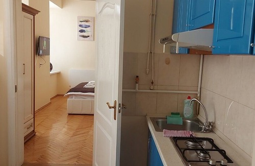 Lviv City Center Appartement | Cozy apartment in Lviv !!! (City center)