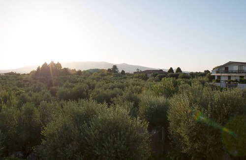 Giulianello Lit Et Petit-Déjeuner | Cozy B&B in the countryside with BBQ area and swimming-pool - Pet-friendly