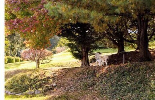 Staunton Maison | Cozy Boho Chic Cottage in the Shenandoah Valley