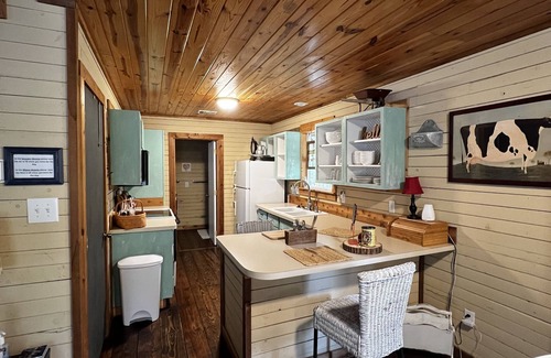 Wills Point Cabine | Cozy Cabin 15 min from Trade Days